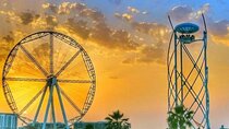 Flying Cup Dubai Experience Tickets with Meal Options 
