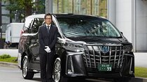 Tokyo Private Tour with Luxury Van
