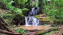 Karura Forest Hiking and Bike Tour