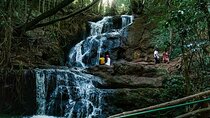 Day Tour to Karura Forest Nature Trail