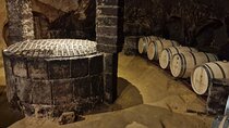 Wine Tasting in Montepulciano with Visit to the Vineyards Private Tour