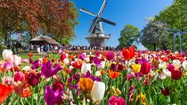 Private CUS Tour: Kinderdijk & Rotterdam & Hague（english/粤语/中文）