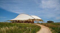 Private Tour in Malta Prehistoric Temples & Mdina