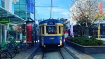 Full-day Christchurch Highlights Tour