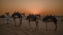 Combo:Private Desert Safari + dinner & ATV Self-drive/Quad Bike