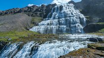 From Reykjavík: 3-Day Tour of the Wild and Wonderful Westfjords