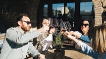 Private Wine Tasting Tour from Florence to Chianti Hills