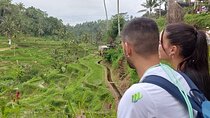 Full Day Mount Batur Sacred Monkey Forest Tour in Bali Island 