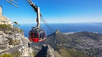 Full Day Constantia Wine Tasting and Table Mountain 