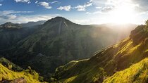Ella Day Tour From Colombo or Negombo