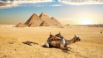 Indulge in a Magical Camel Ride at Pyramids at Sunrise or Sunset