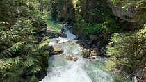 Hike and Bike the Vancouver Forests