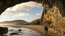 Explore West Auckland with Winery