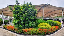 Full-Day Private Car Sightseeing Tour in Colombo