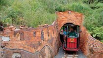 [Stevong Travel] West Coromandel Day Tour