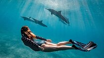 Hurghada Boat Trip to See Dolphins With Snorkeling and Lunch 