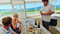 Private Wine Tasting at Vineyard From Krakow