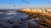 Marrakech to Essaouira / Small group day tour To Essaouira 