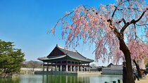 Seoul Full day Private Tour Gyeongbokgung Palace, Insadong & More