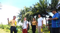 A Morning in the Cambodian countryside