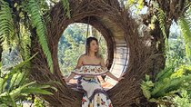 Tickets inclusive: Ubud Wonder-Full Day Tour