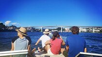 Private Tour 6 Bridges and Douro 2h opt. sunset, group price up to 6px