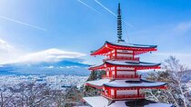 Mt.Fuji Tour: 3-Parks & The Healing Village in Fujiyoshida, Japan