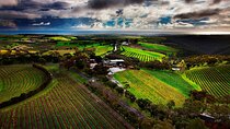 Private Tour of Rojina's Fleurieu in McLaren Vale