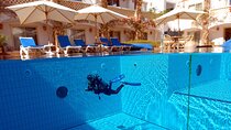 2-Day SSI Scuba Diver Certification – All-Inclusive Course