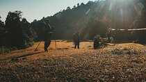 Australian Base Camp Dhampus Trek 1 Night 2 Day 