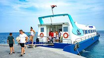 Panorama Semi Submarine And Snorkeling Sea Trip In Hurghada