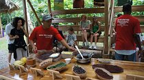 Chocolate Tour & Tortuguero Boat. Puerto Limon shore excursions