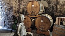 Montepulciano Wine Tasting Private Tour from Rome