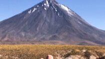 Full Day Tour to Ruta de los Salares