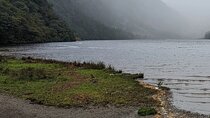Private Tour of Wicklow, Glendalough & Powerscourt Gardens