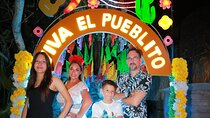 Tour Xoximilco, Mexican party Marimba and Mariachi - Departure only from Cancún