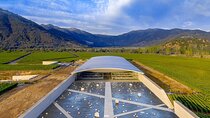 Private VIK Winery (2nd World Best Wine) & Transfer to Hotel