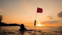 Certified Beach Night Dive