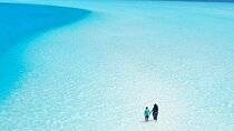 Holbox, Cenote & Two Island! + Punta Mosquito from Cancun