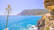 Private Full day Tour to Cinque Terre and Pisa from Florence