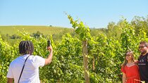 Florence: Private Full-Day Chianti Tour and Winery Lunch Optional