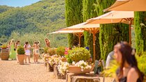 Half-day Experience to San Gimignano Hills with Picnic and Wine 