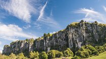 12-Hour LOTR Trollshaws & Waitomo Glowworm Tour 