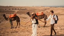 Marrakech: Camels & Quads on Sunset with unique Dinner, Fireshow 