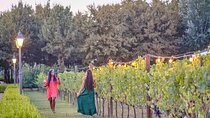 Afternoon in Siena and Chianti Wine Tour with Dinner from Florence