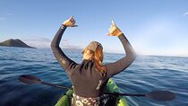 Wailoa River to King Kamehameha Statue Kayak Adventure