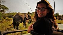 3 Days Tanzania Safari: Tarangire, Manyara and Ngorongoro Crater