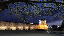 5D4N Suwon+Danyang Trekking Tour (4 star hotel)