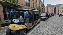 1 Hour Tour in Kraków Old Town