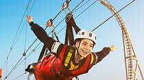 Jebel Jais Zipline with Transfers Option